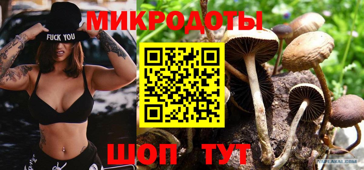 Арзамас  Галлюциногенные грибы GOLDEN TEACHER  Вход с VPN 