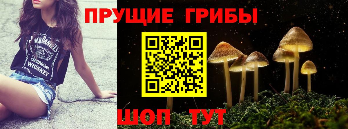 Псилоцибиновые грибы Psilocybe Арзамас